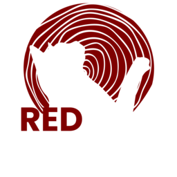 RedCat Produtora